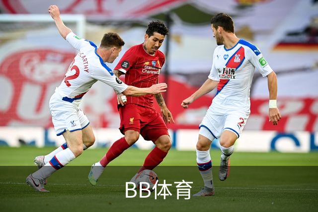 BB体育公司介绍图